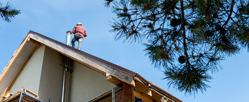 Birds Removal Contractors from Chimney in Parma Heights, OH